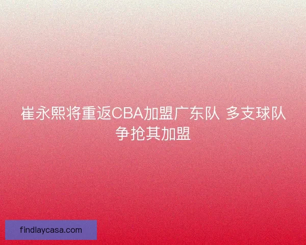 崔永熙将重返CBA加盟广东队 多支球队争抢其加盟